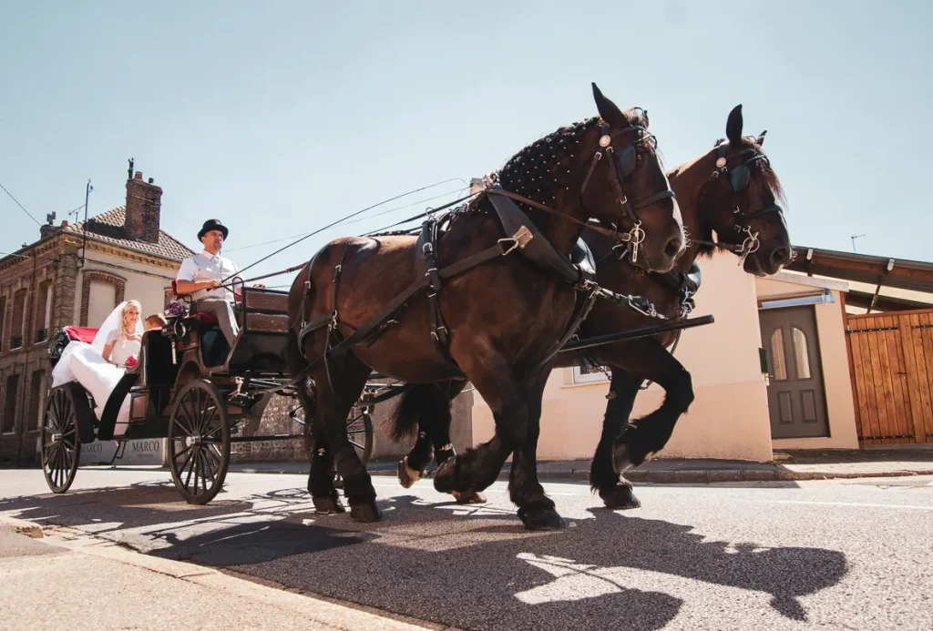 Calèche mariage - Les mariés en calèche avec chevaux à Pont de l'Arche 27