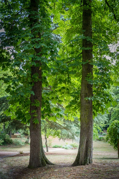Jardin-botanique-evreux-parc-nature-reveure-photographe-mariage