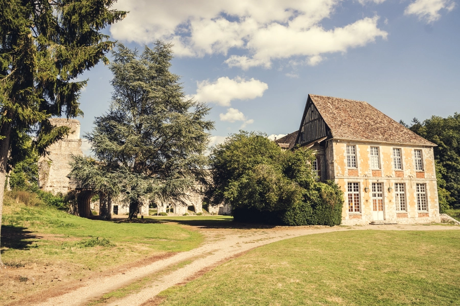 photo-couple-mariage-abbaye-de-mortemer-trash-the-dress-normandie-reveure-photographe (2)