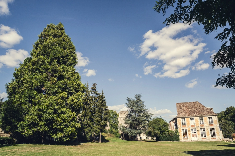 photo-couple-mariage-abbaye-de-mortemer-trash-the-dress-normandie-reveure-photographe (3)